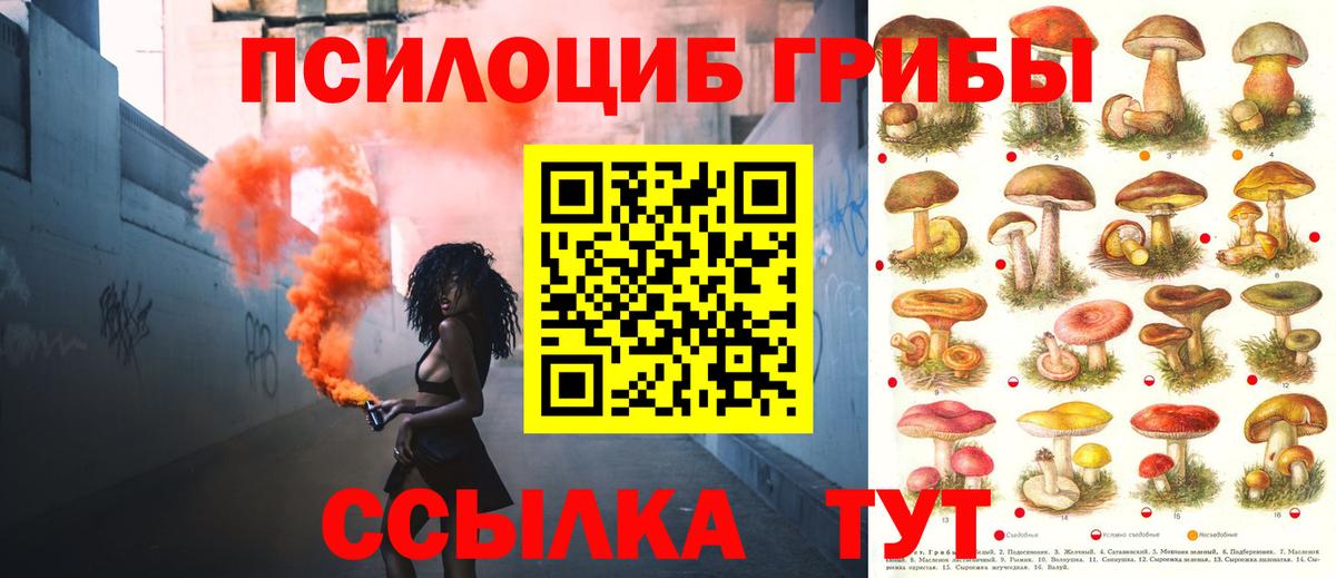 Галлюциногенные грибы Psilocybine cubensis  Вход с VPN  Волоколамск  Галлюциногенные грибы Magic Shrooms 